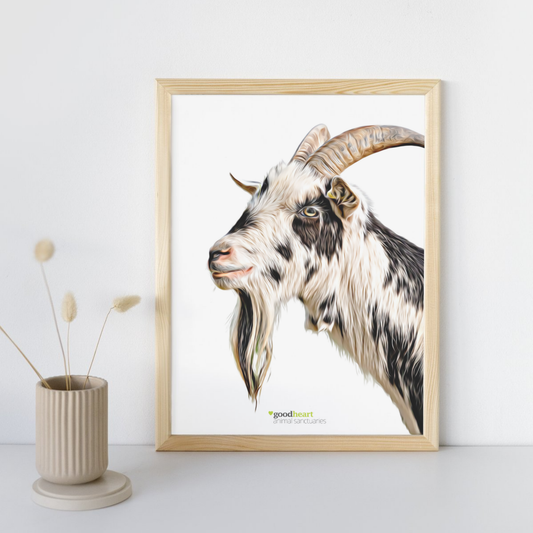 George the Goat Print