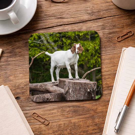 Loki the Goat Coaster