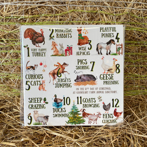 12 Days of Goodheart Christmas Cards (pack of 10)
