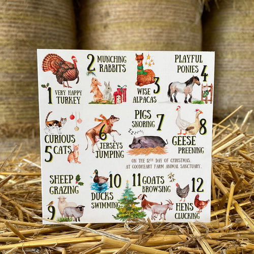 12 Days of Goodheart Christmas Cards (pack of 10)
