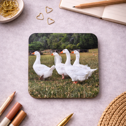 Goose Gaggle Coaster