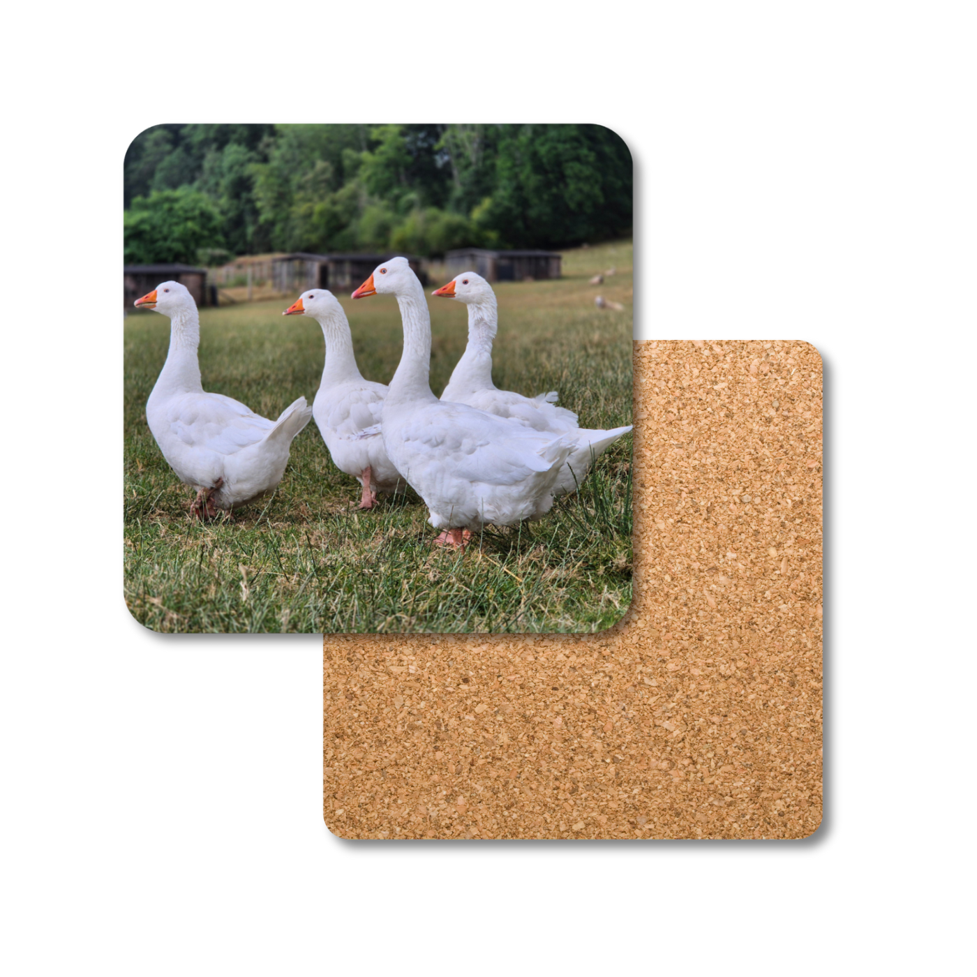 Goose Gaggle Coaster