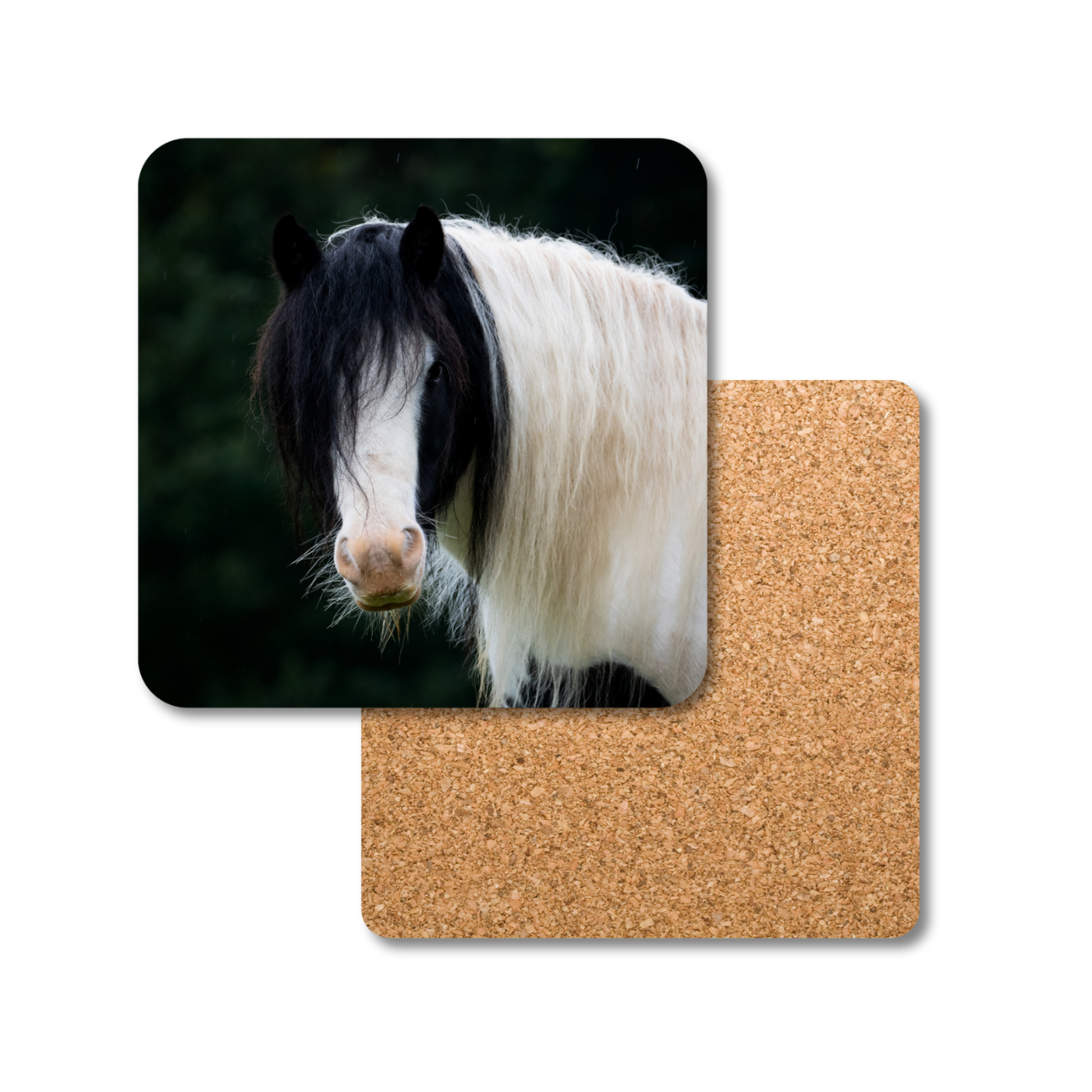 Harry the Pony Coaster