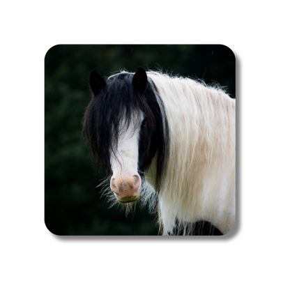 Harry the Pony Coaster