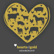 Load image into Gallery viewer, Hearts of Gold Digital Membership Pack