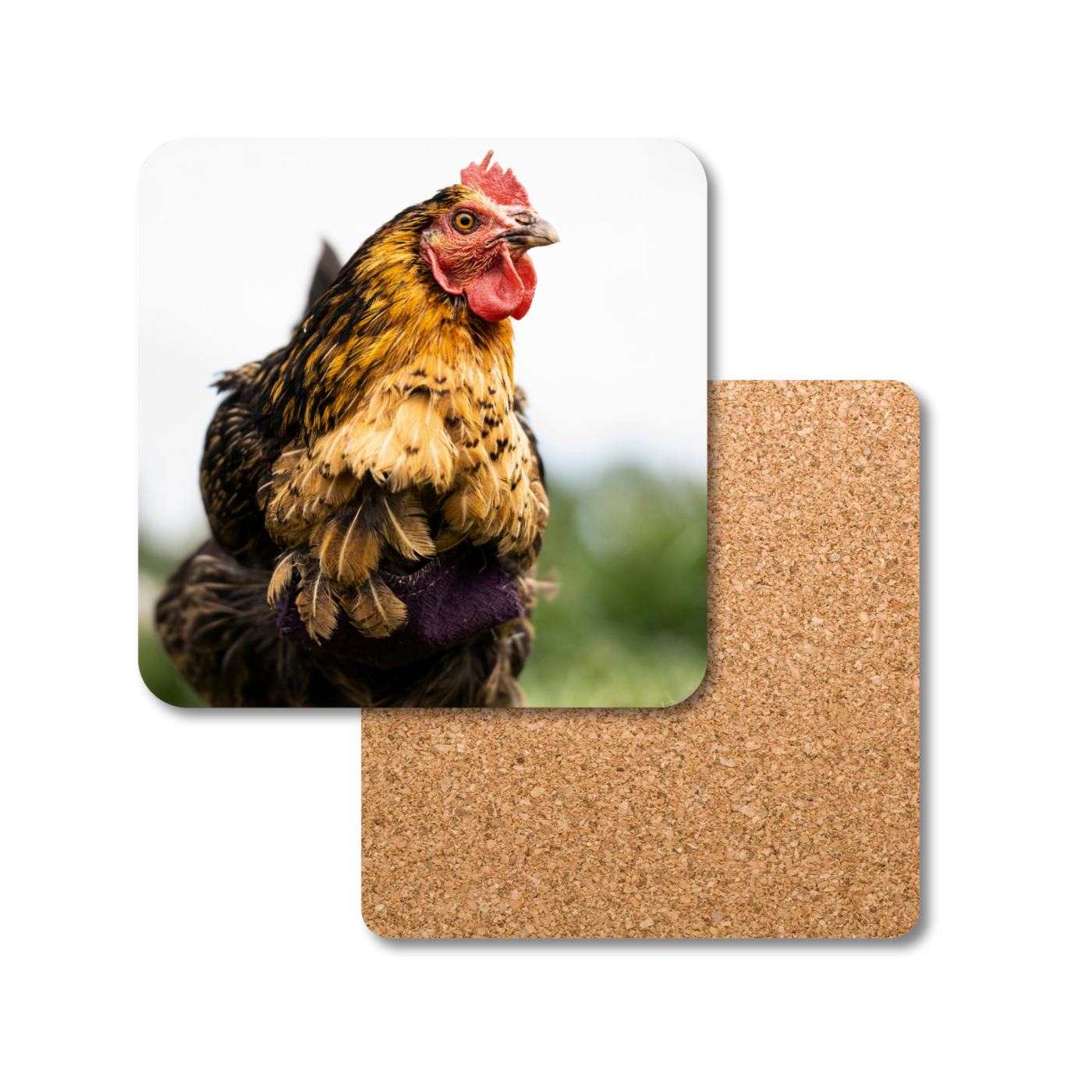 Lulu the Hen Coaster