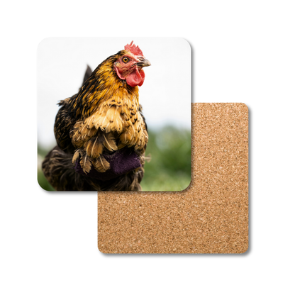 Lulu the Hen Coaster