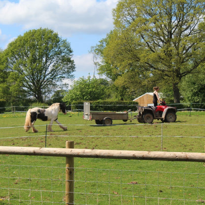 Fill our sanctuary quad bike