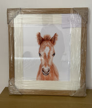 Load image into Gallery viewer, Foal Framed Print