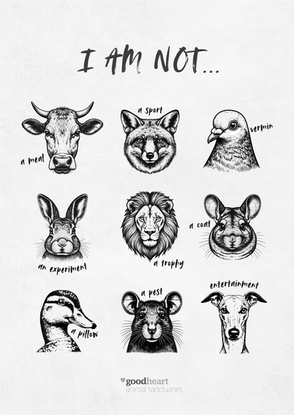 I Am Not... Art Print