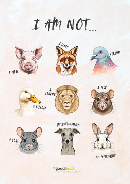 I Am Not... Art Print