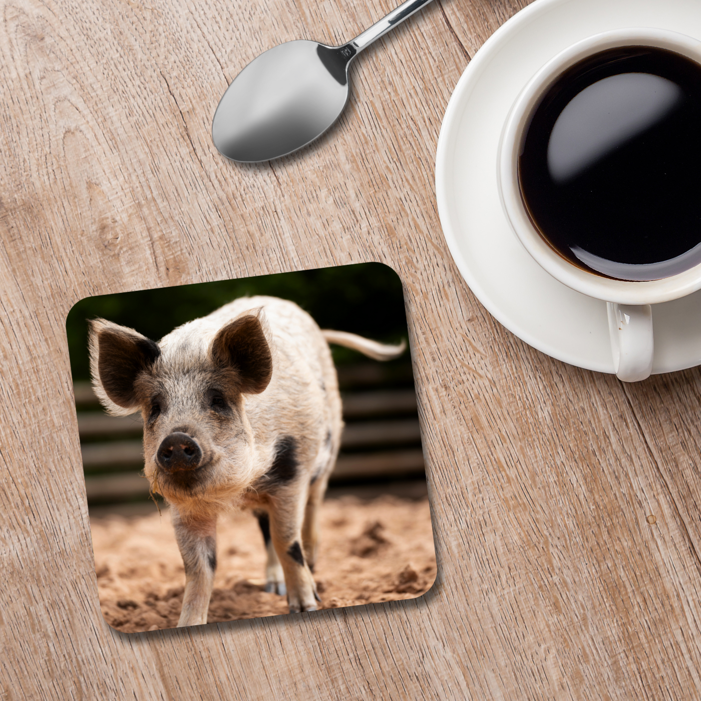 Lizzie the Pig Coaster