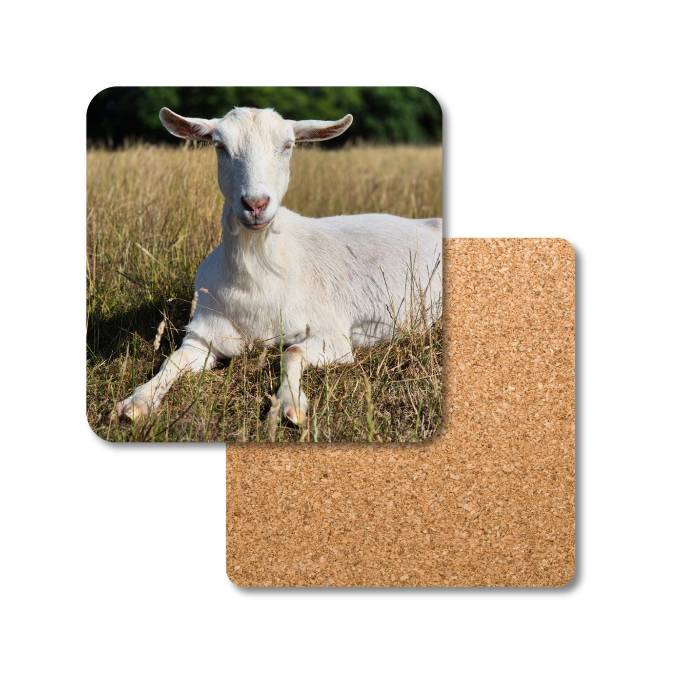 Coaster with a goat in a field design on a cork backer