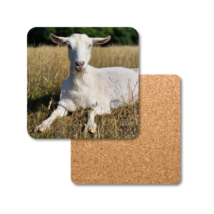 Coaster with a goat in a field design on a cork backer