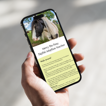 Load image into Gallery viewer, Harry the Pony Digital Adoption Pack