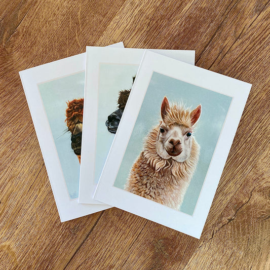 Alpaca Greetings Cards (pack of 3)