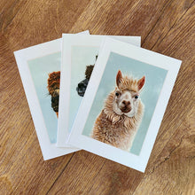 Load image into Gallery viewer, Alpaca Greetings Cards (pack of 3)