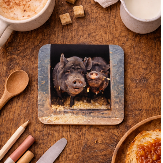 Bertie and Cedric Coaster