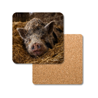 Ellie the Pig Coaster