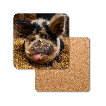 Kermit the Pig Coaster
