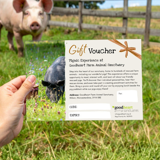 'Pig'nic Experience Gift Voucher