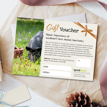 'Pig'nic Experience Gift Voucher