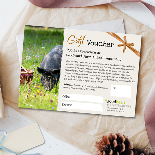 'Pig'nic Experience Gift Voucher