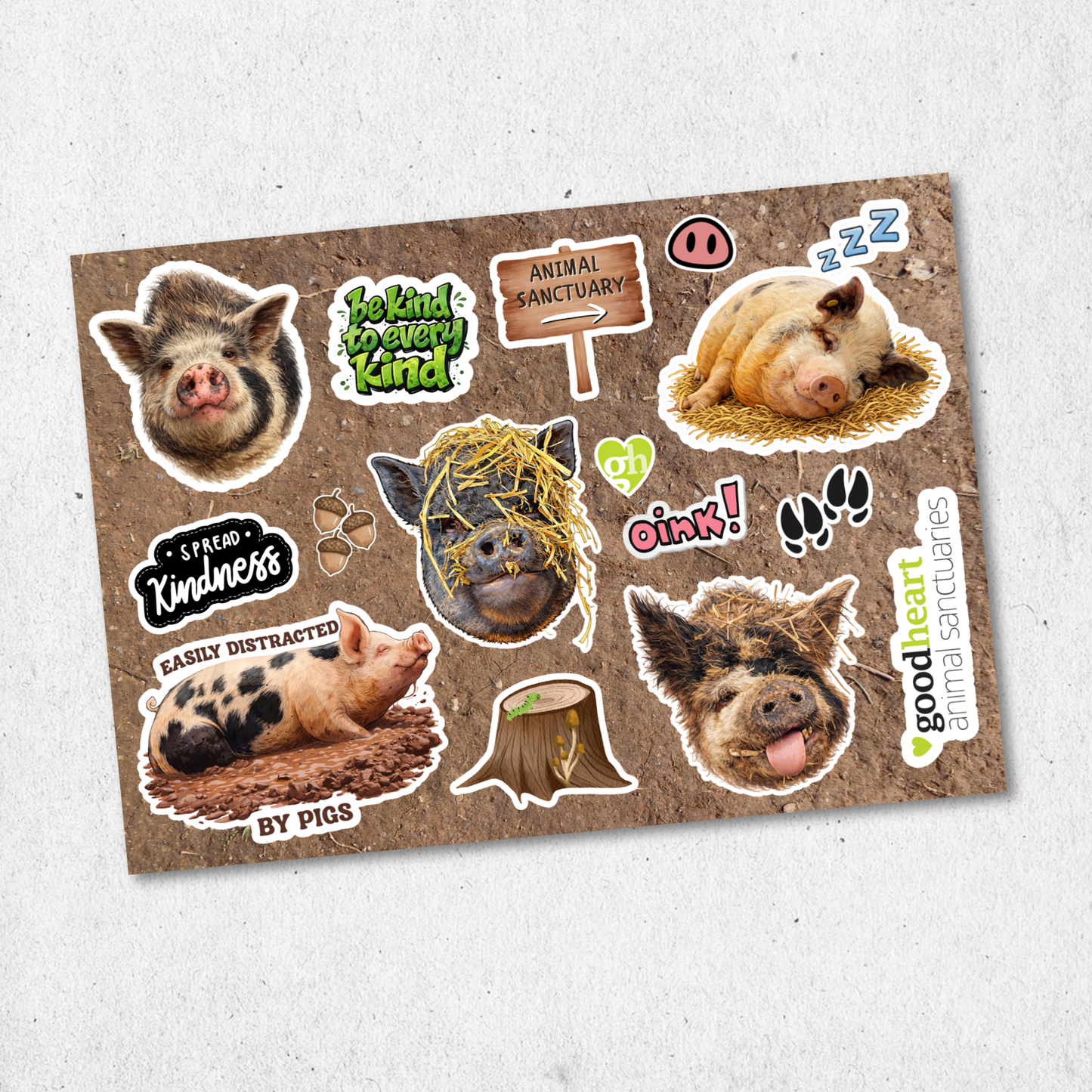 Pig Sticker Sheet