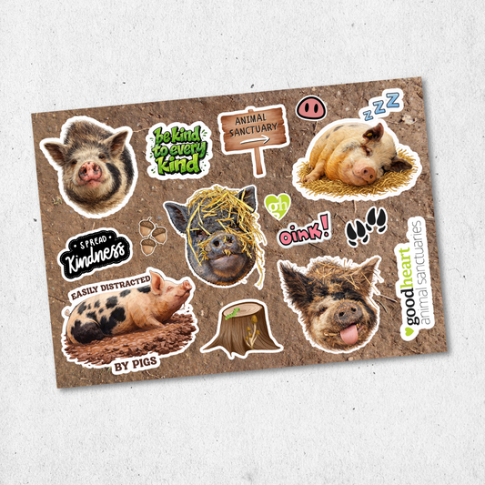 Pig Sticker Sheet