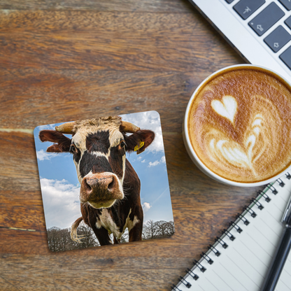 Rufus the Cow Coaster