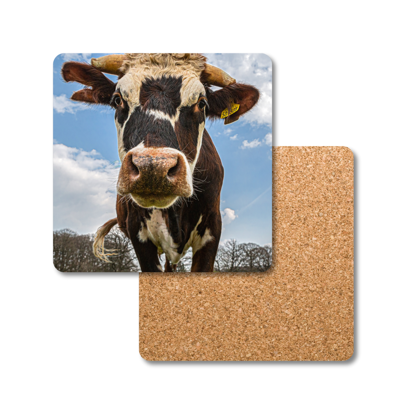 Rufus the Cow Coaster