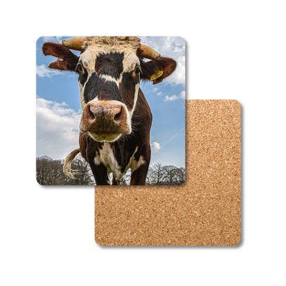 Rufus the Cow Coaster