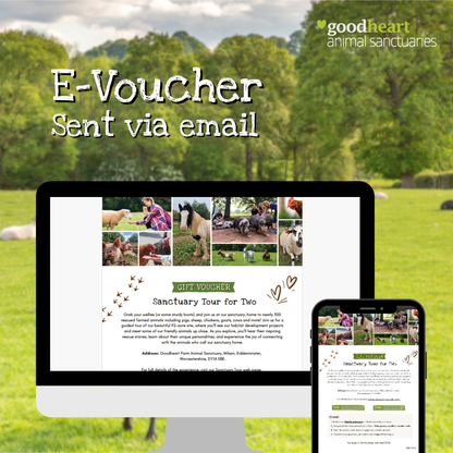 Sanctuary Tour Gift Voucher