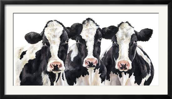 Three's a Crowd Framed Print