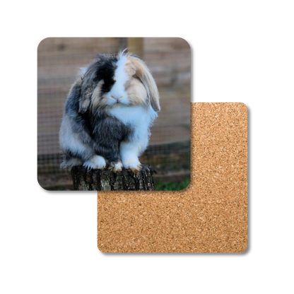 Bigwig the Rabbit Coaster