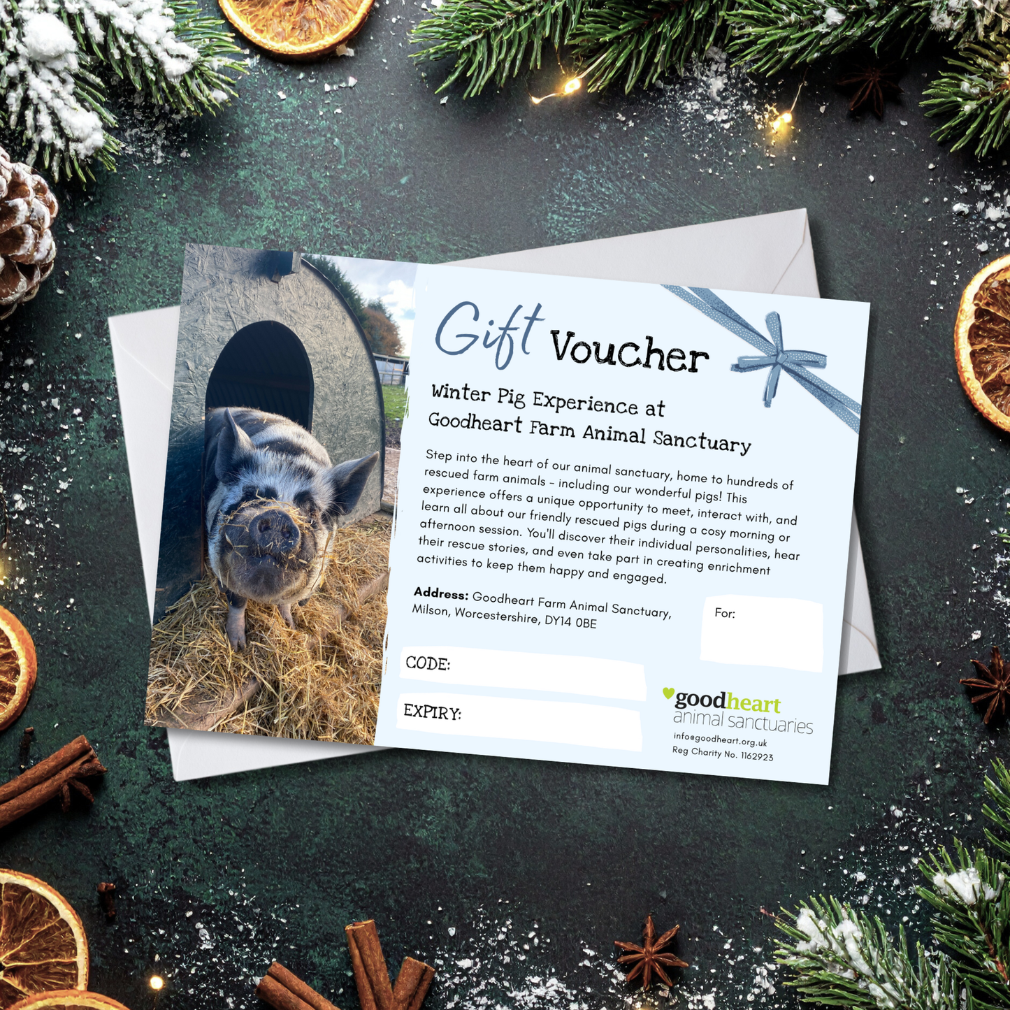 Winter Pig Experience Gift Voucher
