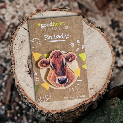 Cow Wooden Pin Badge