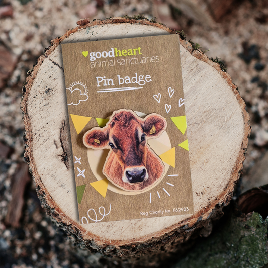 Cow Wooden Pin Badge
