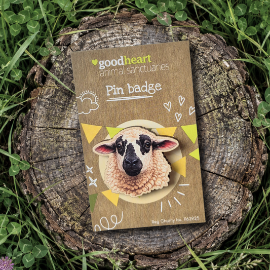 Sheep Wooden Pin Badge