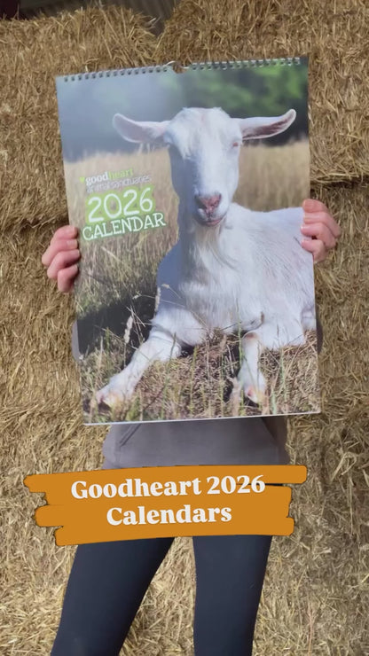 Goodheart 2026 Wall Calendar