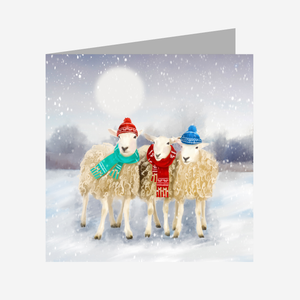 BAAA Christmas cards (pack of 10)