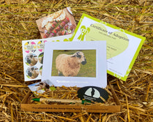 Load image into Gallery viewer, Animal Adoptions - Buy the complete range of 8 and get one half price!