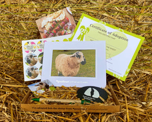 Animal Adoptions - Buy the complete range of 8 and get one half price!