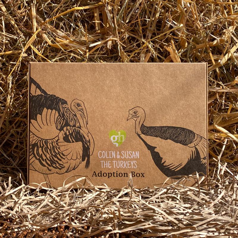 Bird Rescue Boxes Turkey Adoption Box | Goodheart Animal Sanctuaries