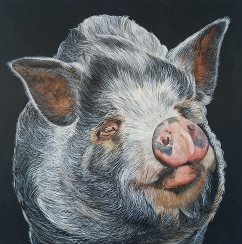 'Ellie the Pig' A3 Print