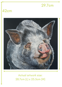'Ellie the Pig' A3 Print