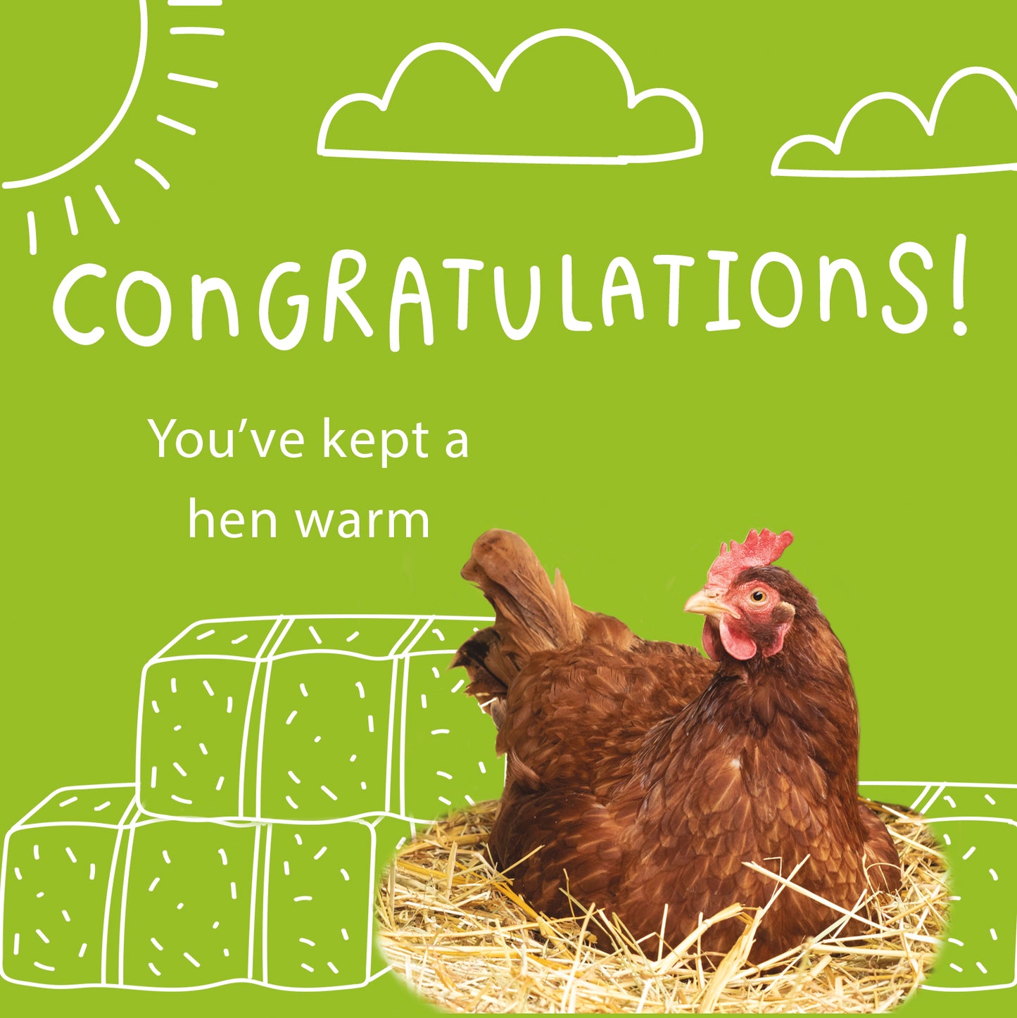 Keep a hen warm