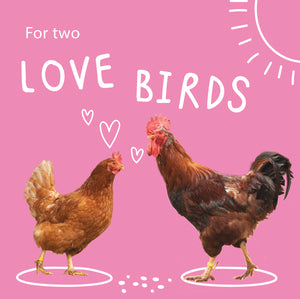 Feed two residents for a year: For two love birds