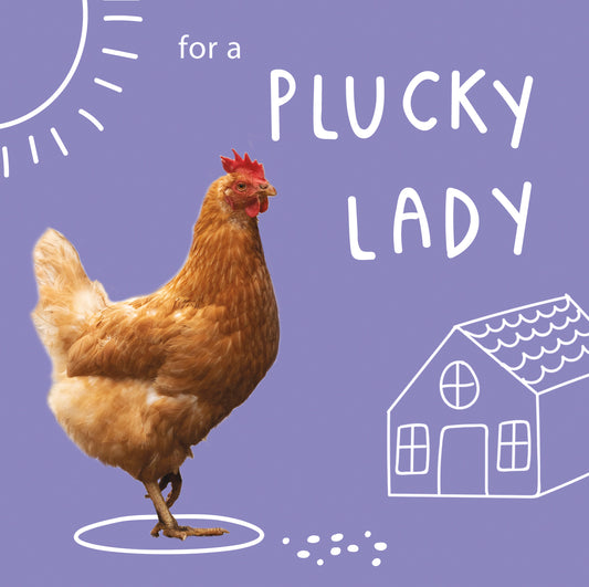 Feed a hen for a year: For a plucky lady