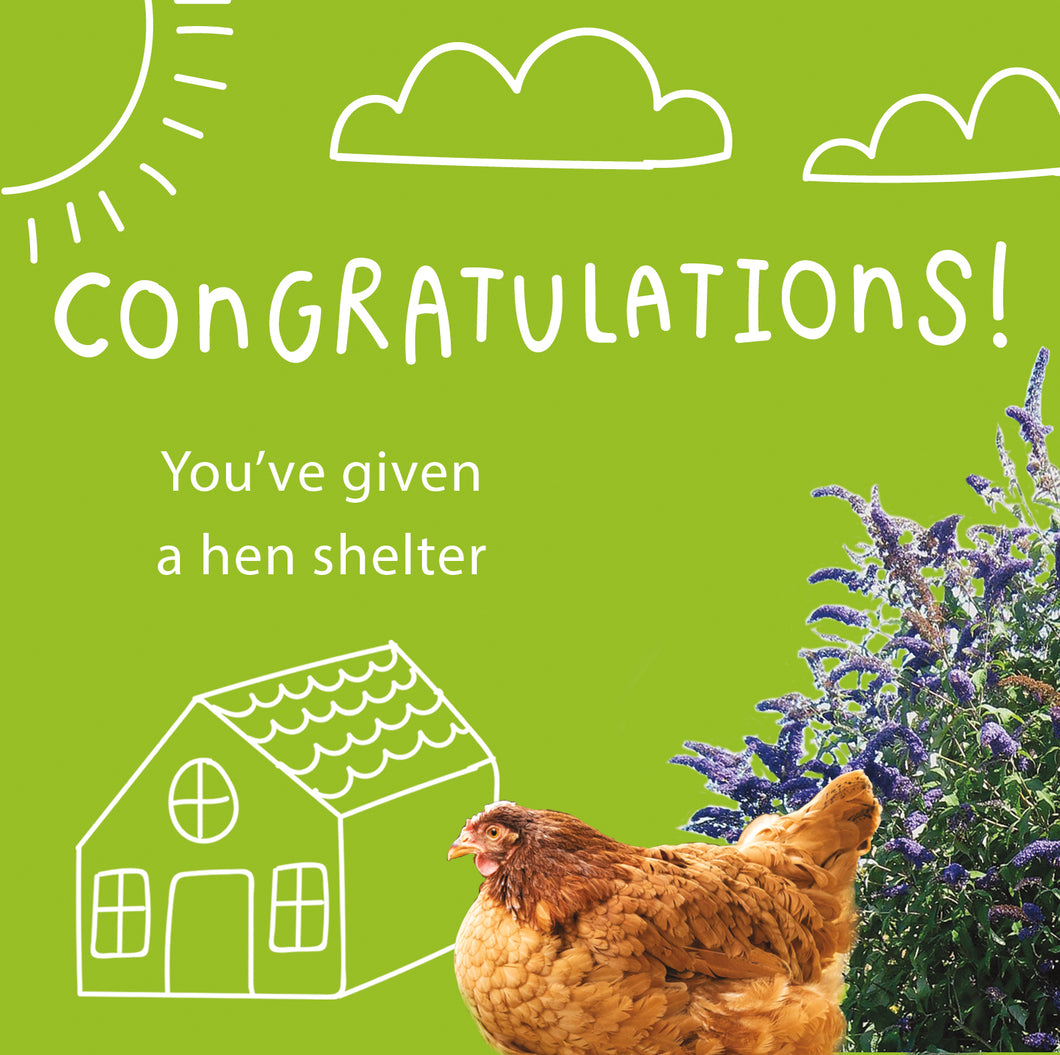 Give a hen shelter